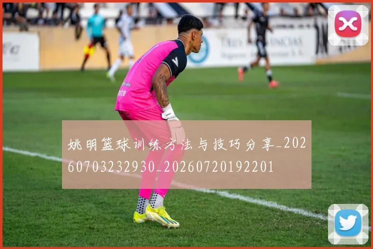 姚明篮球训练方法与技巧分享_20260703232930_20260720192201